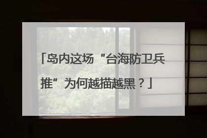 岛内这场“台海防卫兵推”为何越描越黑？
