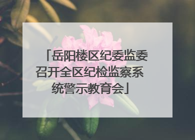 岳阳楼区纪委监委召开全区纪检监察系统警示教育会