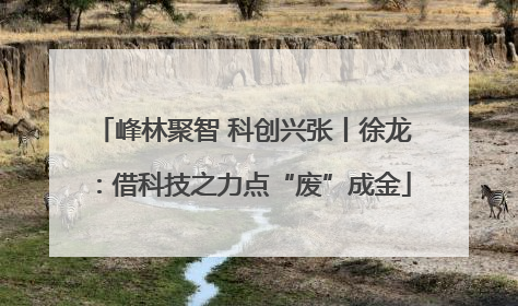 峰林聚智 科创兴张丨徐龙：借科技之力点“废”成金