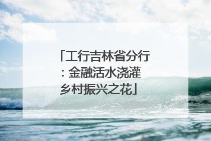 工行吉林省分行：金融活水浇灌 乡村振兴之花