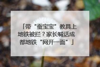 带“蚕宝宝”教具上地铁被拦？家长喊话成都地铁“网开一面”