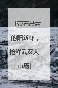 带着晨露的阳新虾，抢鲜武汉大市场