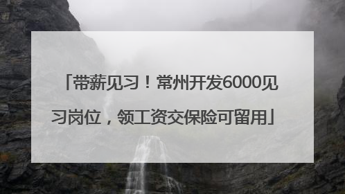 带薪见习！常州开发6000见习岗位，领工资交保险可留用