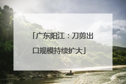 广东阳江：刀剪出口规模持续扩大