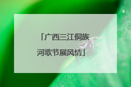 广西三江侗族河歌节展风情