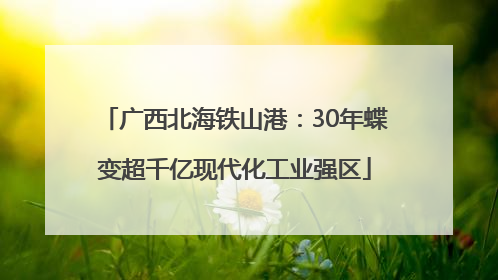 广西北海铁山港：30年蝶变超千亿现代化工业强区