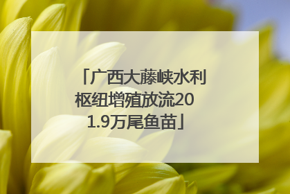 广西大藤峡水利枢纽增殖放流201.9万尾鱼苗