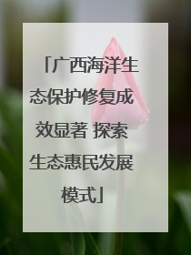 广西海洋生态保护修复成效显著 探索生态惠民发展模式