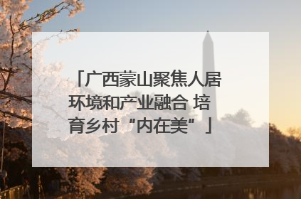 广西蒙山聚焦人居环境和产业融合 培育乡村“内在美”