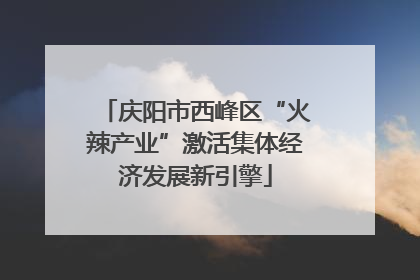 庆阳市西峰区“火辣产业”激活集体经济发展新引擎