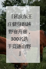 延庆东王庄健身跑越野赛开赛，300名选手竞逐山野