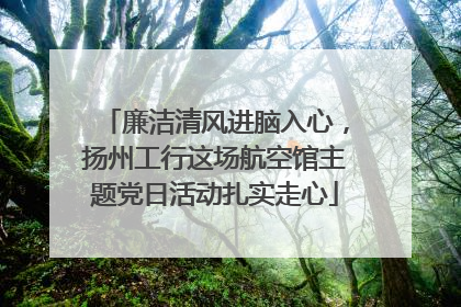 廉洁清风进脑入心，扬州工行这场航空馆主题党日活动扎实走心