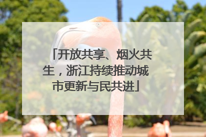 开放共享、烟火共生，浙江持续推动城市更新与民共进