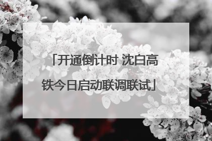 开通倒计时 沈白高铁今日启动联调联试