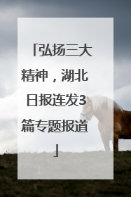 弘扬三大精神，湖北日报连发3篇专题报道