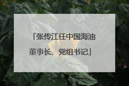 张传江任中国海油董事长、党组书记