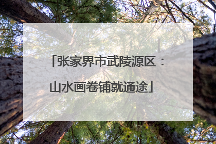 张家界市武陵源区：山水画卷铺就通途