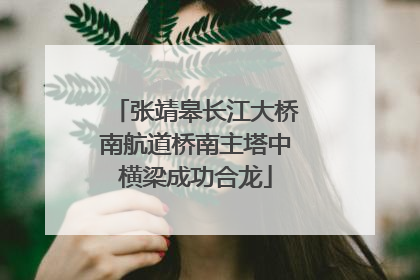 张靖皋长江大桥南航道桥南主塔中横梁成功合龙