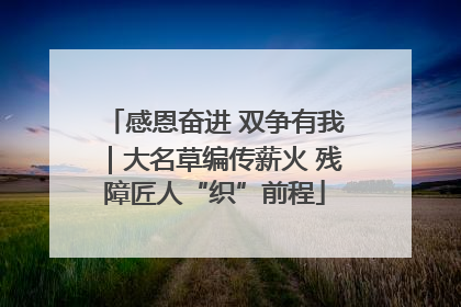 感恩奋进 双争有我｜大名草编传薪火 残障匠人“织”前程
