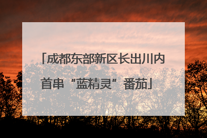 成都东部新区长出川内首串“蓝精灵”番茄