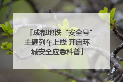 成都地铁“安全号”主题列车上线 开启环城安全应急科普