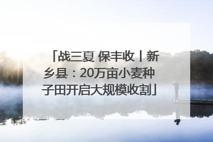 战三夏 保丰收丨新乡县：20万亩小麦种子田开启大规模收割