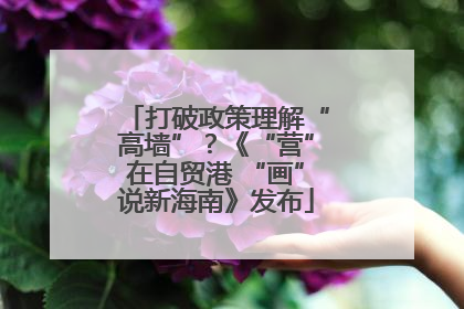 打破政策理解“高墙”？《“营”在自贸港 “画”说新海南》发布