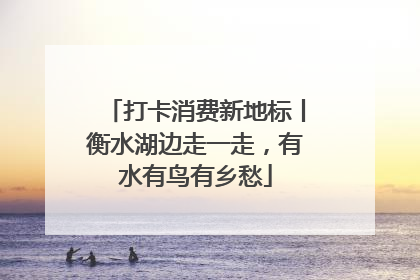 打卡消费新地标丨衡水湖边走一走，有水有鸟有乡愁