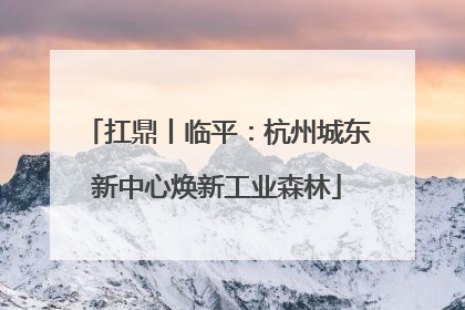 扛鼎丨临平：杭州城东新中心焕新工业森林