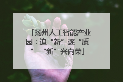 扬州人工智能产业园：追“新”逐“质” “新”兴向荣