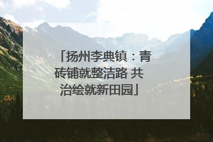 扬州李典镇：青砖铺就整洁路 共治绘就新田园