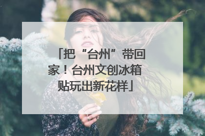 把“台州”带回家！台州文创冰箱贴玩出新花样