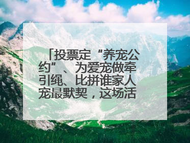 投票定“养宠公约”、为爱宠做牵引绳、比拼谁家人宠最默契，这场活动有趣更有意义
