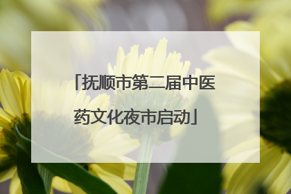 抚顺市第二届中医药文化夜市启动
