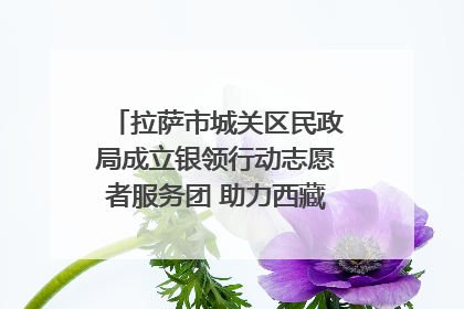 拉萨市城关区民政局成立银领行动志愿者服务团 助力西藏银发经济发展