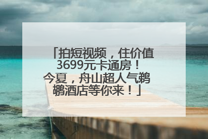 拍短视频，住价值3699元卡通房！今夏，舟山超人气鹈鹕酒店等你来！