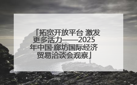 拓宽开放平台 激发更多活力——2025年中国·廊坊国际经济贸易洽谈会观察