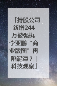 持股公司新增244万被强执 李亚鹏“商业版图”再陷泥潭？｜科技观察