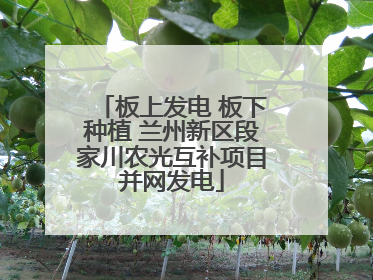 板上发电 板下种植 兰州新区段家川农光互补项目并网发电