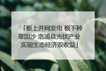 板上并网发电 板下种草固沙 洛浦县光伏产业实现生态经济双收益