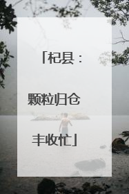 杞县：颗粒归仓丰收忙