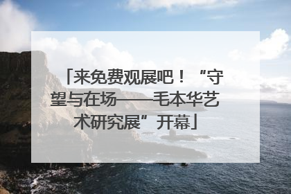 来免费观展吧！“守望与在场——毛本华艺术研究展”开幕