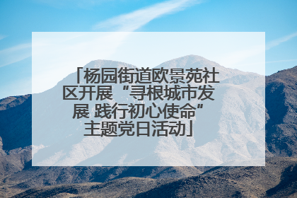 杨园街道欧景苑社区开展“寻根城市发展 践行初心使命”主题党日活动