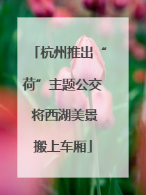 杭州推出“荷”主题公交 将西湖美景搬上车厢