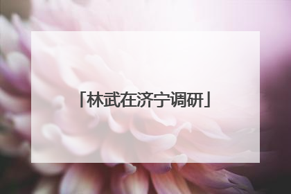 林武在济宁调研