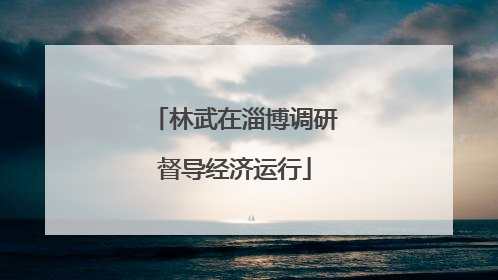 林武在淄博调研督导经济运行