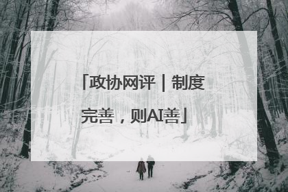 政协网评｜制度完善，则AI善