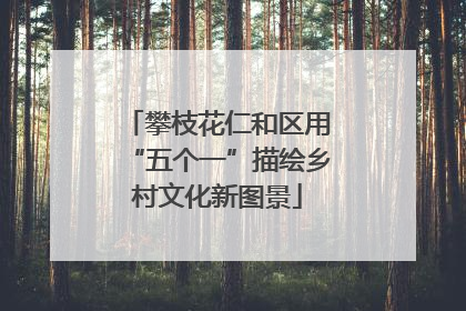攀枝花仁和区用“五个一”描绘乡村文化新图景