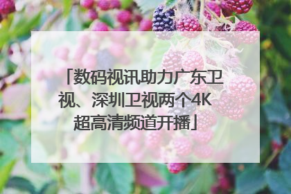 数码视讯助力广东卫视、深圳卫视两个4K超高清频道开播