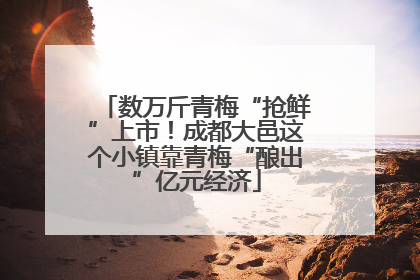数万斤青梅“抢鲜”上市！成都大邑这个小镇靠青梅“酿出”亿元经济